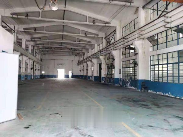  出租青浦区白鹤镇2000㎡单层厂房，大小可分租，104板块可环评