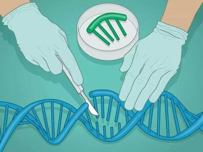 基因编辑技术带来的三大危害都是那些？