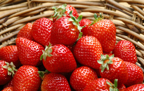  昌平草莓